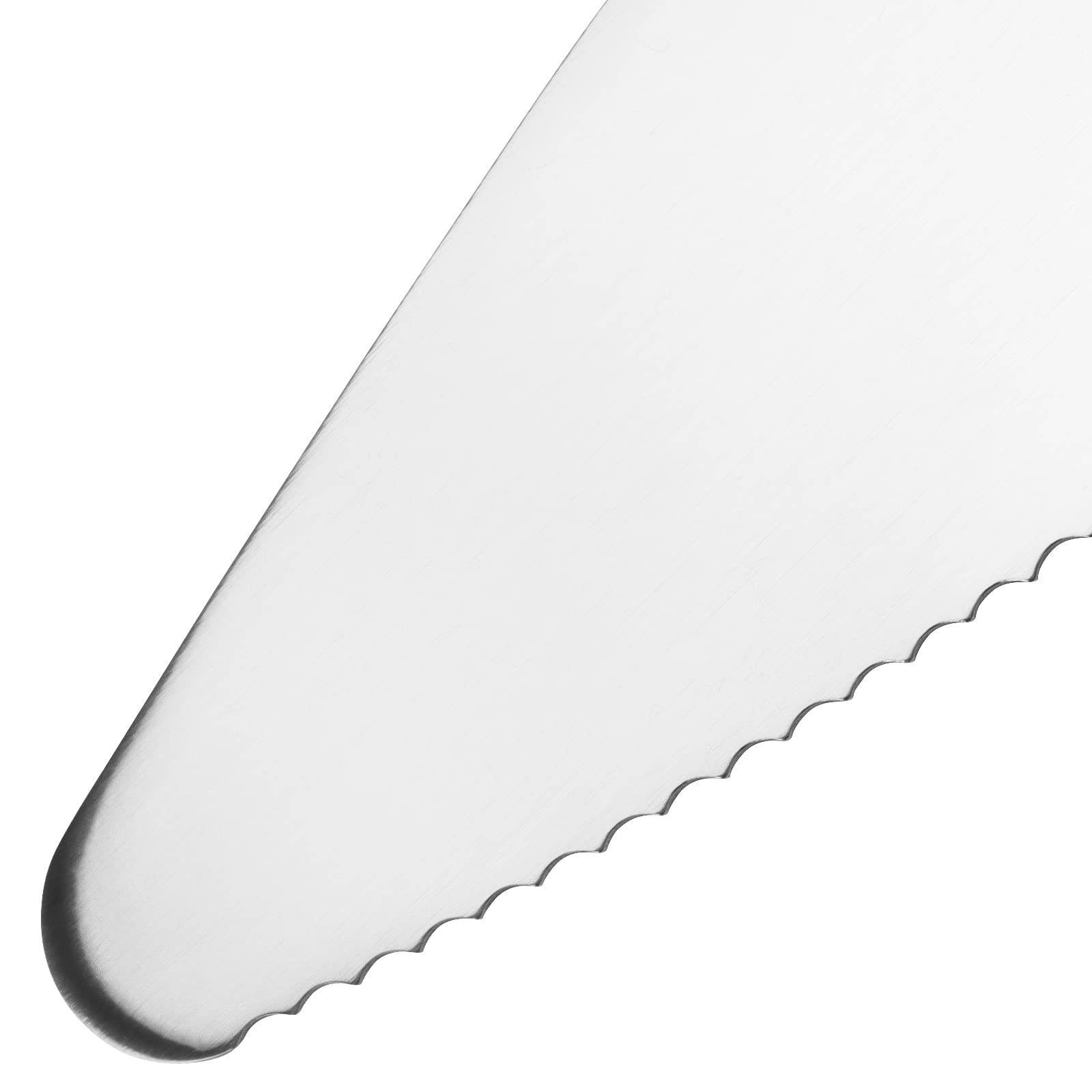 12 Paletta per Torte in Acciaio Inox, per torte, matrimoni, cucine, ristoranti, feste, formaggi, pizza, 23 x 4,7 cm