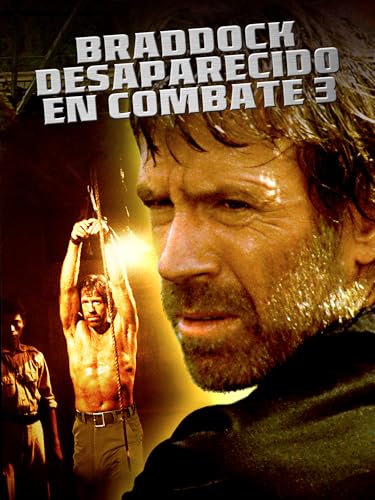 Braddock: desaparecido en combate 3
