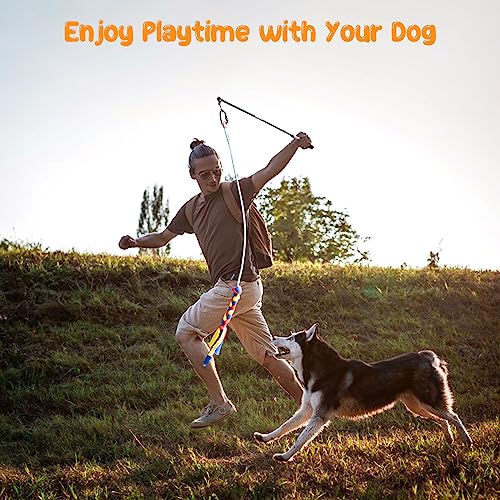 Depets Bastão de paquera para cães, varinha removível para cães perseguição e cabo de guerra, mastro