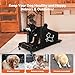 Dog Treadmill for Small to Medium Dogs – Pet Running Machine with LED Display, Quiet 1.5HP Motor, Anti-Pinch Safety, 220lbs Capacity – Indoor Exercise for Puppies to Senior Dogs