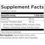 Designs for Health Digestzymes - Digestive Enzymes + Betaine Hydrochloride for Gas & Bloating Relief - Pepsin, Ox Bile, Lactase Enzyme & Lipase Enzymes for Digestion (60 Capsules) - Image 5
