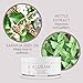 ALURAM Hair Styling Clay, Soft Satin Finish, Clean Beauty Haircare for All Hair Types, 3.4 Fl Oz