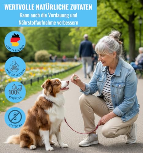 Superfood Hundekuchen Riegelbox 10× Super Sardine – Brokkoli, Spirulina, Kokosöl & Bierhefe – Proteinreich, glutenfrei & ofengebacken – Für Fell, Haut & Immunsystem – RiNa leckerer Hundekuchen