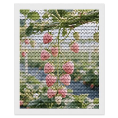 Kit peinture diamant 5D fraise rose maccbn pour adultes art créatif 40x50 cm