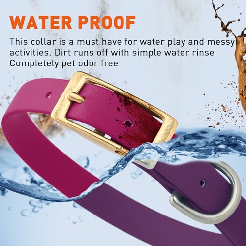 Image of Viper Biothane Heavy Duty Waterproof Dog Collar Strong Coated Nylon Webbing w /Solid Brass Hardware Odor-Proof Easy to Clean High Performance Fits Small Medium or Large Dogs, Magenta Pink