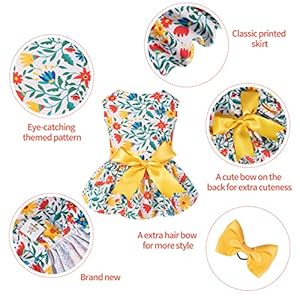 Cutebone dog mesh dress puppy sundress pet outfit summer fashion for small dogs girl cat clothes bf20l   cucciolini doodles