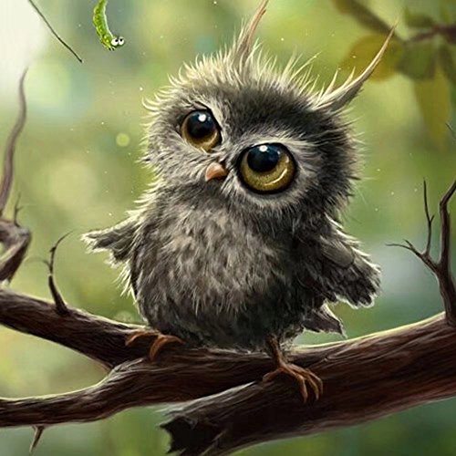 ESOOR 5D DIY Diamond Painting, Cross Stitch Bricolage Diamond Kits de peinture Arts Grey Hibou 12X12 pouces