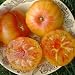 Set de Semillas de Tomate 16 x 10 semillas Tomate Mezcla 100%...