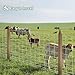 Toriexon Farm Fence 4FT x 100FT, Galvanized Cattle Fence, Heavy Zinc Coating Wire Fencing, 14GA Livestock Fence, Goat Fence, Hog Wire Fencing Perfect for Pest Control, Livestock & Animals Protection