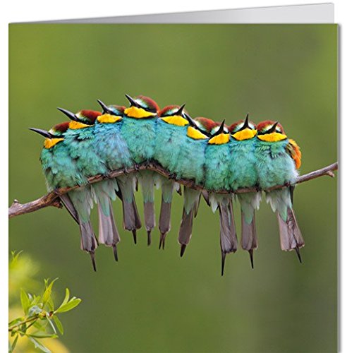 Biglietto di auguri Geo di Modern Times + + +