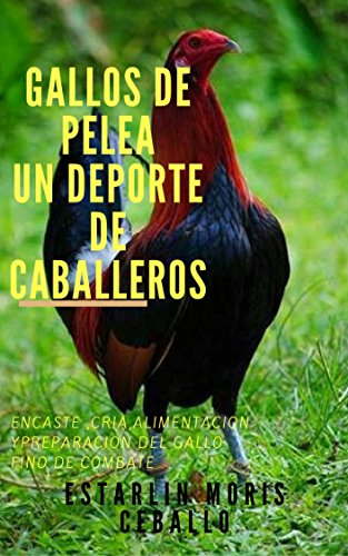 GALLOS DE PELEA : UN DEPORTE DE CABALLEROS GALLOS DE PELEA : UN DEPORTE DE CABALLEROS