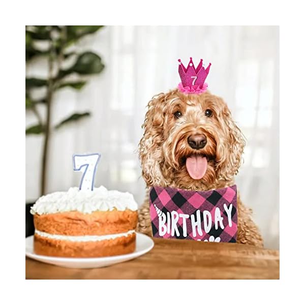 Dog birthday bandana - girl dog birthday hat with number - dog birthday supplies for small and medium dog pet - image 8