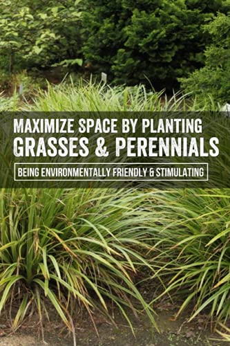 Maximize Space By Planting Grasses & Perennials: Being Environmentally Friendly