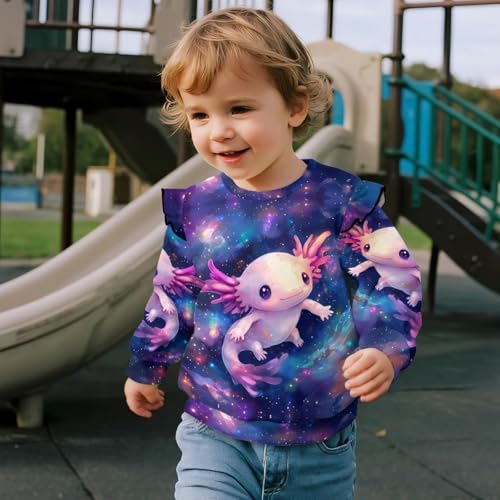 Bulopur Girls Sweatshirt Pullover Hoodie Soft Crewneck Long Sleeve Top for Kids Winter Warm Fall Clothes 1-8Y3