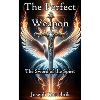 The Perfect Weapon Audiolibro Por Joseph Kostelnik arte de portada