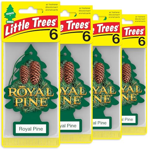 LITTLE TREES Car Air Freshener | Hanging Tree Provides Long Lasting Scent for Auto and Home | Royal Pine, 24 Air Fresheners
