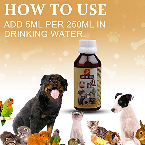 Image of Pet Care International (PCI) Electro Care || for Heat Stress, Loose Motion, Dehydration || in Birds, Dog, Cat, Reptiles, Hamster, Marmoset, Iguana, Gecko, Dwarf, Gerbil Healthcare || 30ml