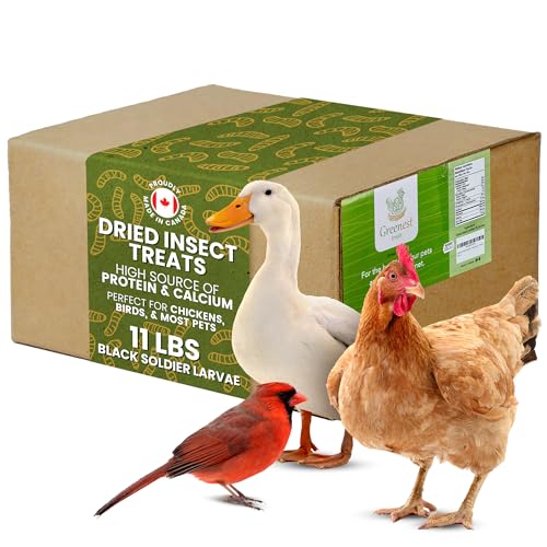 Dried Black Soldier Fly Larvae Chicken Treats for Hens, Duck, Wild Birds, Tortoise, Fish - All Natural High Protein Dried Mealworms Alternative | Made in Canada