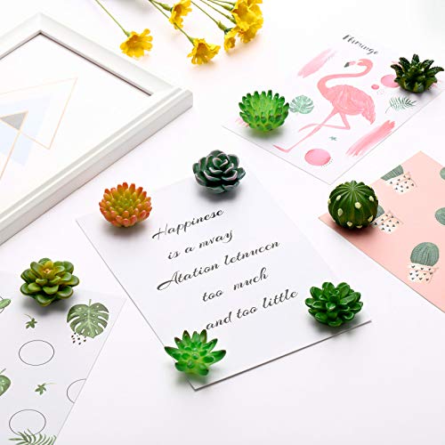 16 imanes decorativos de plantas para nevera miniatura 6