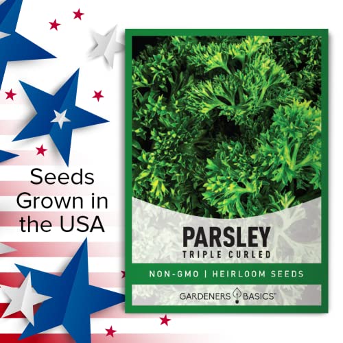 Gardeners Basics, Curled Parsley Seeds for Planting Indoors and Outdoors Heirloom, Open-Pollinated, Non-GMO Curly Herb Variety- Great for Home Gardens and More - Image 6