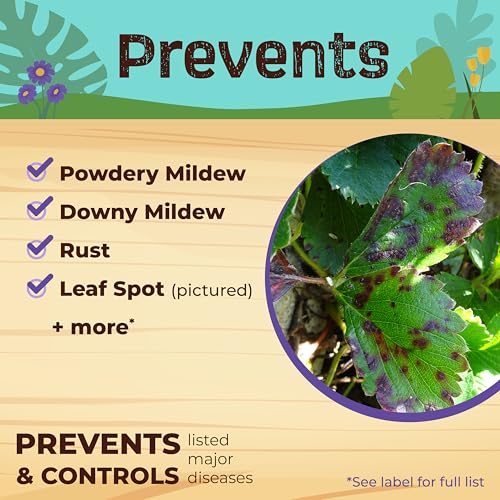 Bonide Captain Jack's Neem Max, 16 oz Ready-to-Spray Neem Oil - image 6
