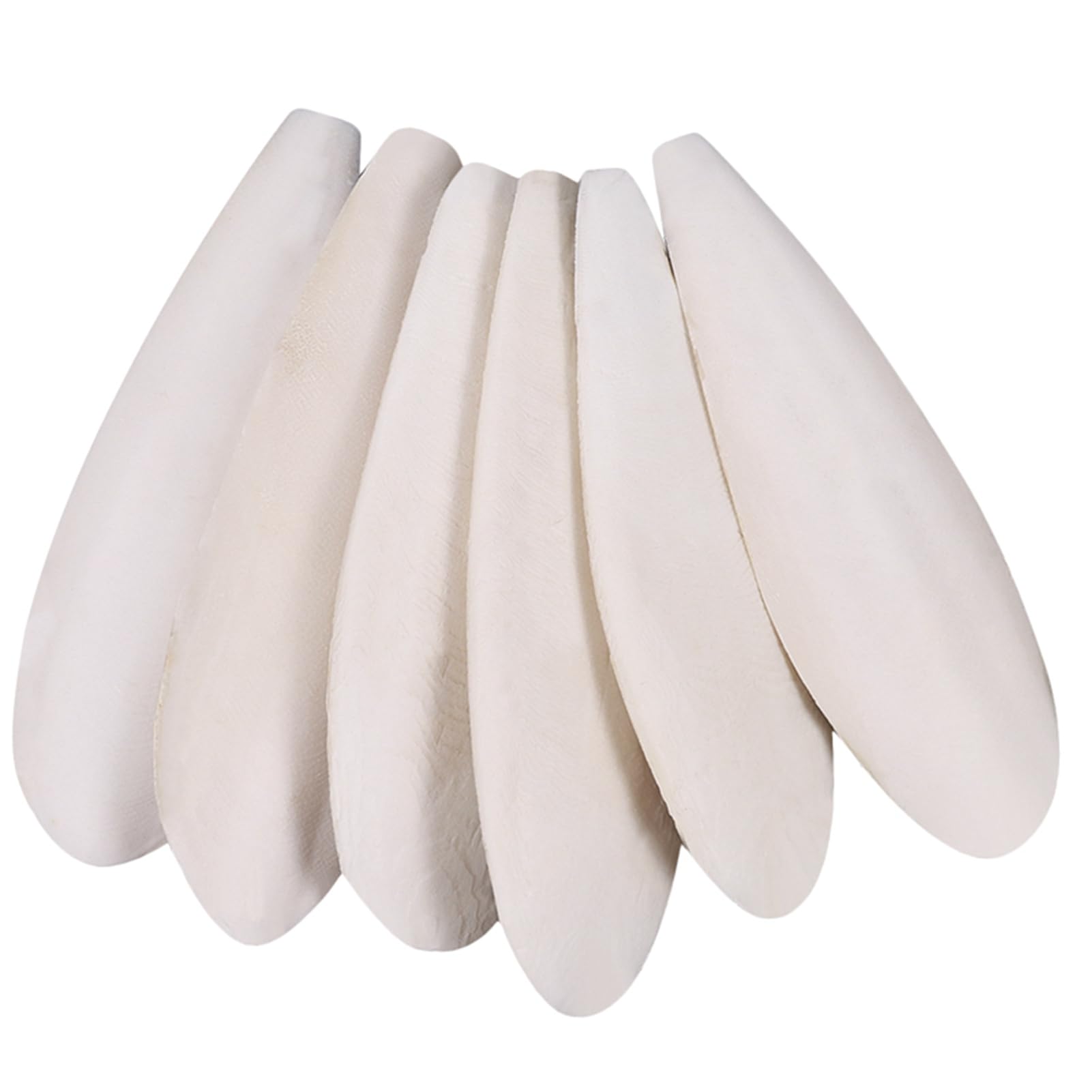 HEQU 6 Pcs Natural Cuttlebone Parakeets Pure Cuttlebone Calcium Stone for Tortoise Parakeets Canaries Cockatiels Turtles Cockatiel 9.5-10.4cm/3.7-4 inch