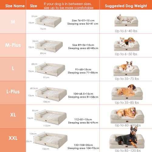 EHEYCIGA Orthopädisches Hundebett Kleine Hunde, 76x51cm, Memory Foam Hundekorb Mittelgroße Hunde, Waschbar Hundesofa Wasserdicht rutschfest, Hundecouch mit Hohem Rand, Beige