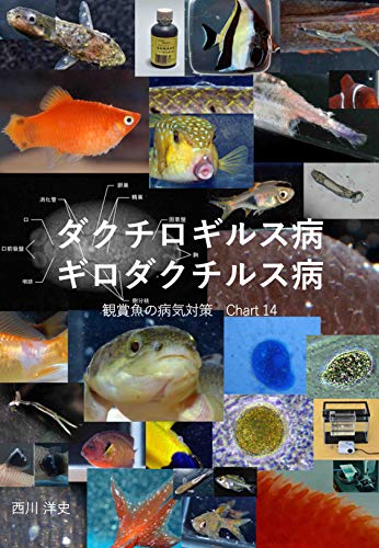 Dactylogyrus And Gyrodactylus Kansyougyonobyoukitaisaku Japanese Edition Kindle Edition By Hirofumi Nishikawa Crafts Hobbies Home Kindle Ebooks Amazon Com