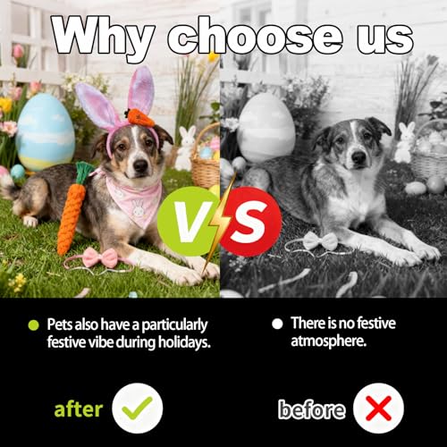 Hundekostüm Set 4-teilig für kleine und große Hunde, Karotte geflochten, rosa Halstuch mit Hasenohren, Verkleidung für Ostern, Fotoshooting, Geschenkidee