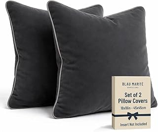 14 Moody Basement Ideas with Dark Cozy Atmosphere 22 2 Pack Velvet Decorative Throw Pillow Covers, 18