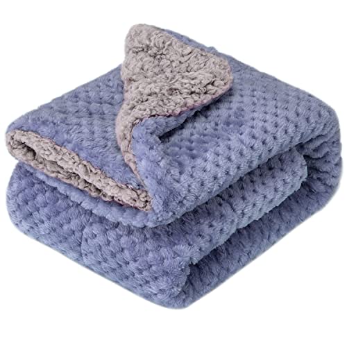 Image of Fuzzy Blanket or Fluffy Blanket for Baby Girl or boy, Soft Warm Cozy Coral Fleece Toddler, Infant or Newborn Receiving Blanket for Crib, Stroller, Travel, Outdoor (24" x 32", DG-Pearl Blue)