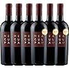 VINELLO 6er Weinpaket Rotwein – MEA CULPA Vino Rosso Italia – Cantine Minini mit einem VINELLO.weinausgieÃer | halbtrockener Rotwein | italienischer Wein aus Apulien und Sizilien | 6 x 0,75 Liter