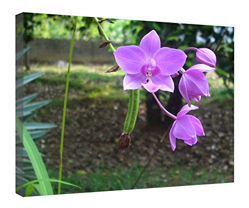 Impression sur toile orchidée prête à suspendre pour masquer un mur vide