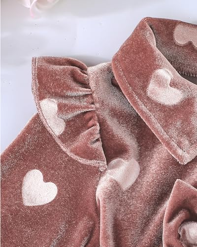 Rosibel Baby Girls Velvet Tutu Dress Infant Girl Special Occasion Clothes Fall Winter Dresses Outfits 6M to 3T4