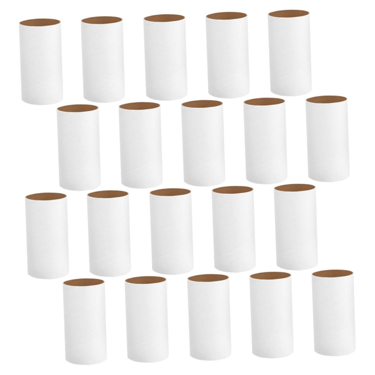 DOITOOL 20pcs Unfinished Paper Cardboard Tubes Craft for Boys and Girls Drawing Paper Tubes for Creative Arts DIY Projects