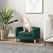PawHut Hundesofa, Haustiersofa mit Samtoptik, Katzensofa mit Kissen, Hundebett, Hundecouch mit Erhöhtem Design, Hundesessel mit Holzbeine, Grün, 68 x 68 x 35 cm