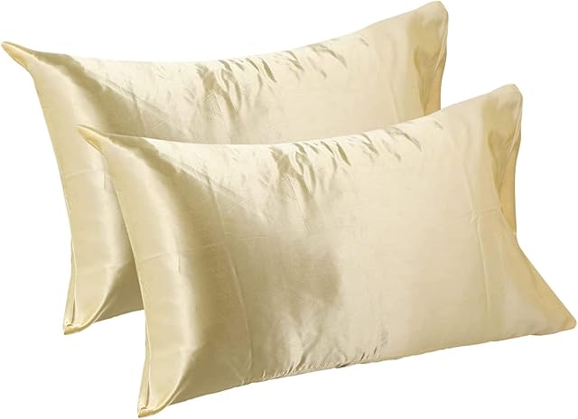 Satin Pillow Cases 2 Pack - Grey Pillowcase for Hair and Skin Queen Size with Envelope Closure, 50 x 75 cm, Luxury Smooth Satin Pillow Case, Wrinkle, Fade Resistant (champagne)
