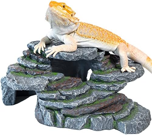 Magtara Ledge Hideout Rainforest Series - Decorative Resin Basking Rock Cave Hide Decor for Reptiles, Fish, Amphibians, Small Animals, Terrariums, Aquariums, Tanks