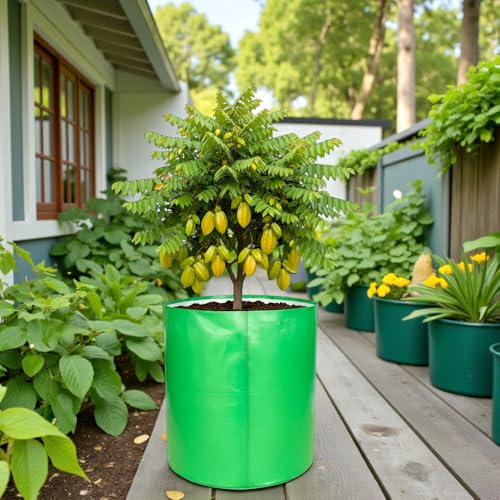 Image of 24x24 Inch HDPE Grow Bag (340 GSM) | UV Protected, Reusable, Heavy Duty Garden Bag for Vegetables, Fruits & Big Trees - Pack of 2