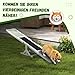 PawHut Hundewippe, Hunde Agility Wippe aus Holz, rutschfest Hunde Agilitäts Rampe für Hunde unter 30 kg, wetterfest Hundetraining Outdoor Hundesport für Balance, 180 x 30 x 30 cm Weiß