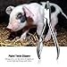 TOPINCN Piglet Teeth Cutter, 3.94in Stainless Steel Piglets Teeth Clipper Teeth Cutter Tooth Forceps Pig Tooth Nipper Piglets Teeth Clipper Teeth Cutter, Silver