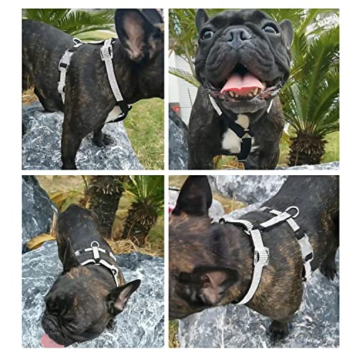 Image of HDKUW Dog Shining Rhinestone Harness, No Pull Adjustable Buckle D-Ring Harness for Small Medium Dog (Black XS)