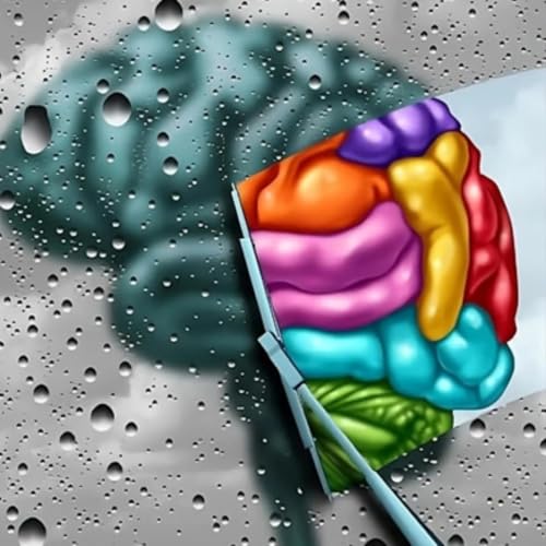 IN Focus First The Mental Health Minute cover art