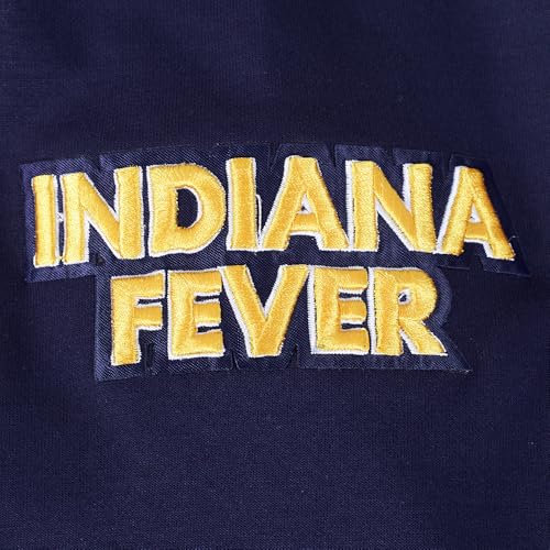Image of Pro Standard Mens WNBA Classic Chenille Pull Over Hoodie