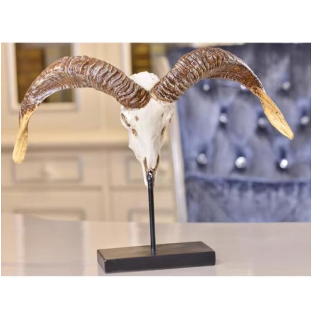 Echte Schaf Schädel Exemplar - Taxidermy Schaf Schädel Statue - 12.99inch Tall Skull Dekoration für Sammlerstück Figuren Home Office Tabletop Ornamente