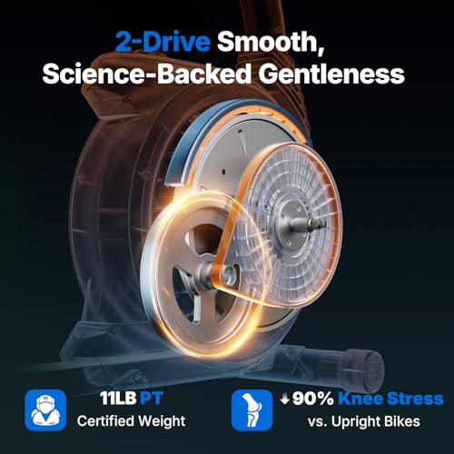 image for MERACH Recumbent Exercise Bikes for home, Light Commercial Recumbent E