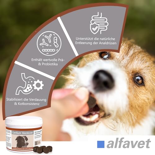 alfavet CaniGum Glanduvet, Kaudrops für Hunde bei Analdrüsenverstopfung, unterstützt Kotqualität und Darmwohl, Diät-Ergänzungsfuttermittel, Analdrüsenkur für Hunde 300 g