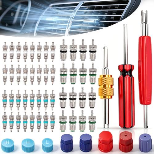 Taiss 59PCS Air Conditioning Valve Core...