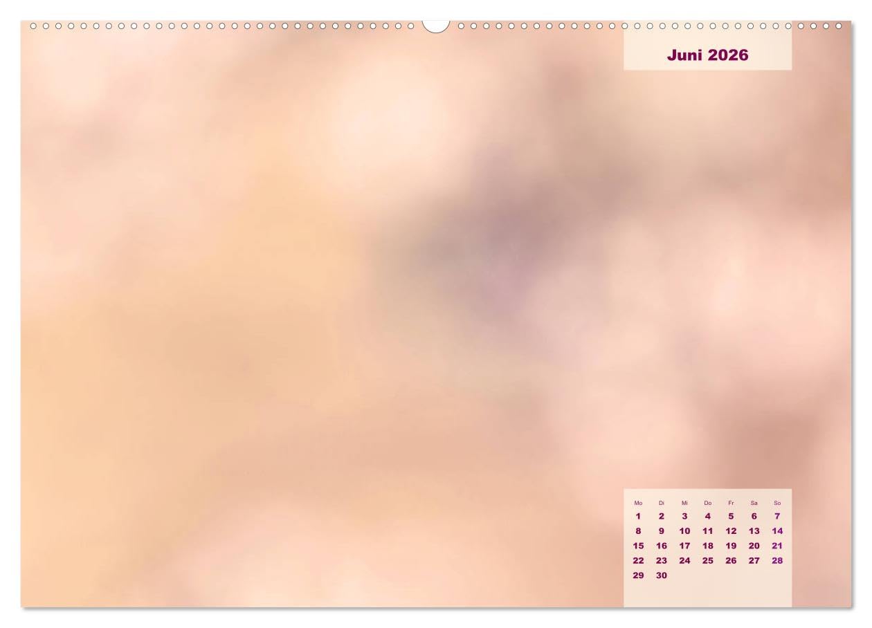 Meine Familie - mein Leben - die schönsten Momente - Bastelkalender (hochwertiger Premium Wandkalender 2026 DIN A2 quer), Kunstdruck in Hochglanz: ... in Szene gesetzt werden (CALVENDO Menschen)