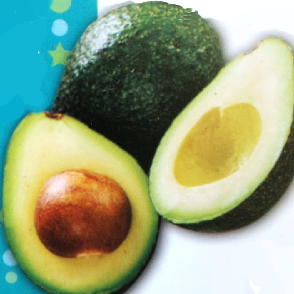 Amazon.co.jp: アボカドの苗木 品種：フェルテ(フェルデ)(B